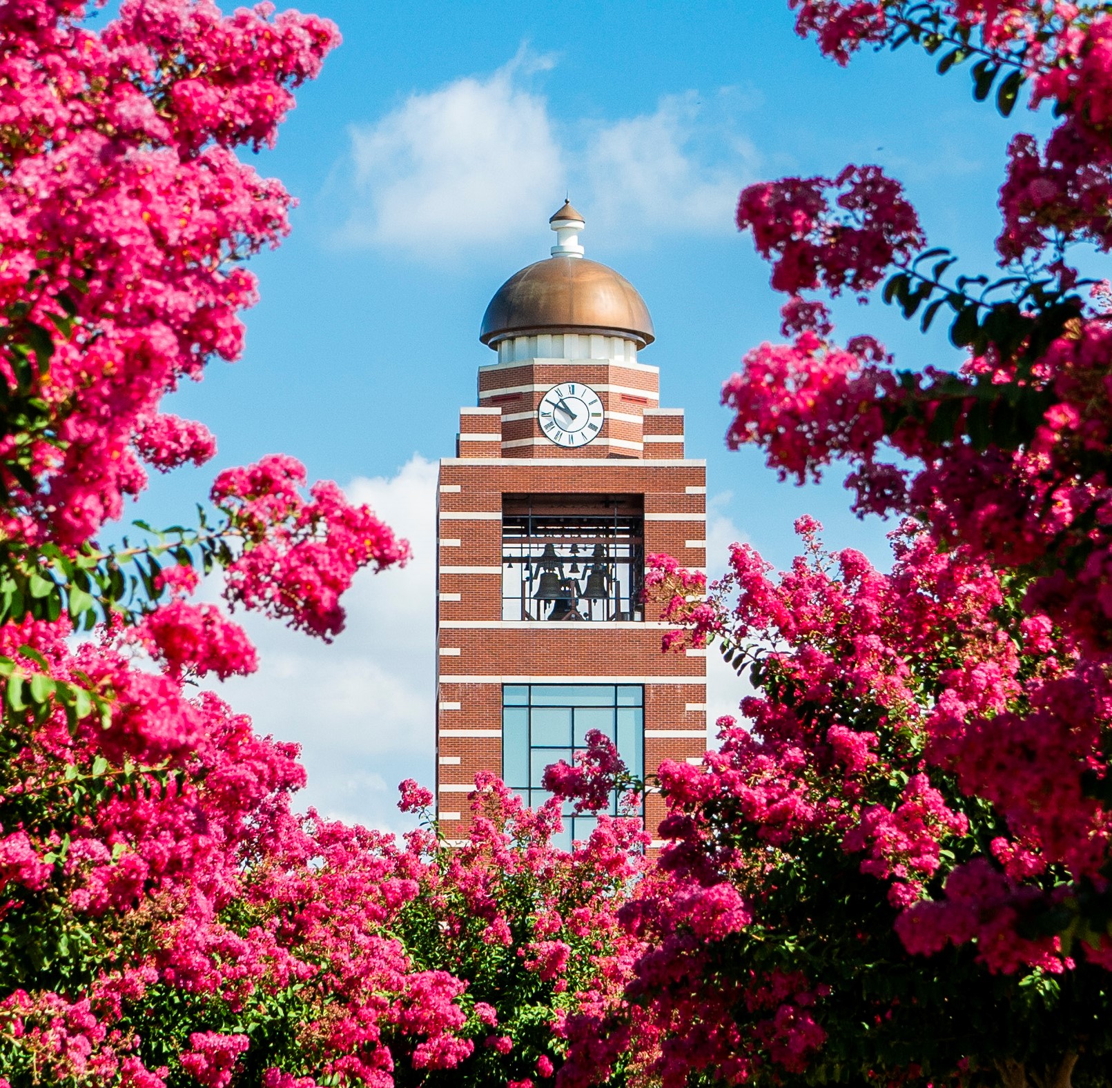 University Of Arkansas Fort Smith